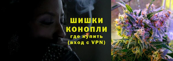 PSILOCYBIN Пересвет