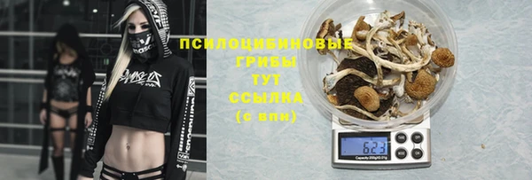 твердый Осинники