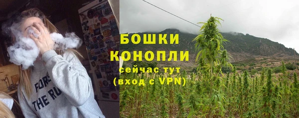 амф Покачи